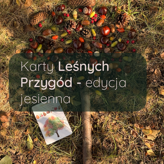 Karty Leśnych Przygód - jesień