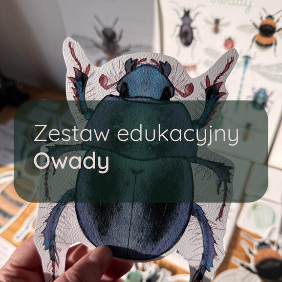 owady