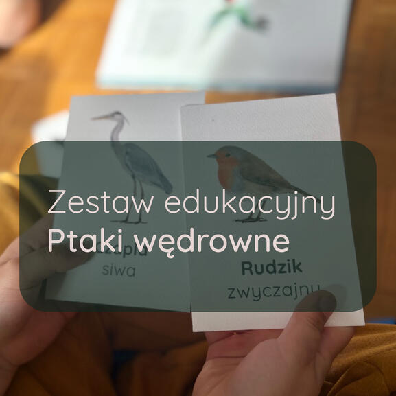Ptaki wędrowne